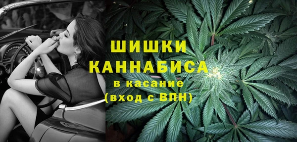 гашик Гусиноозёрск