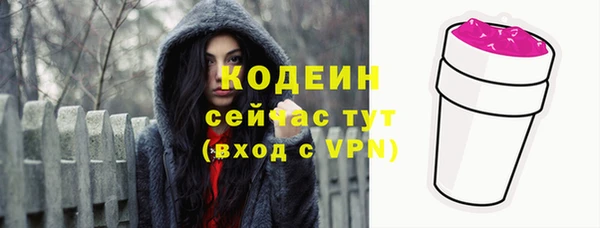 гашик Гусиноозёрск