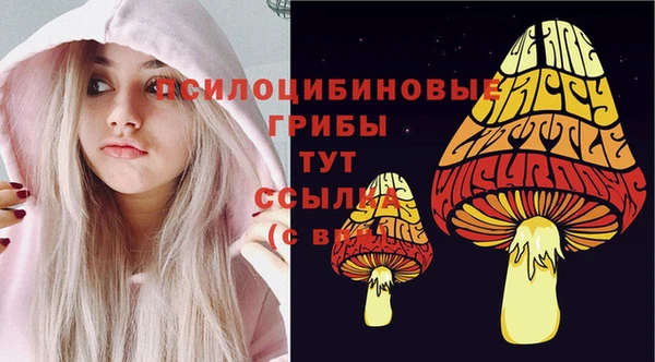 метамфетамин Гусев