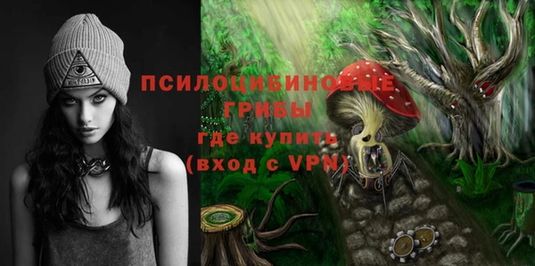 гашик Гусиноозёрск