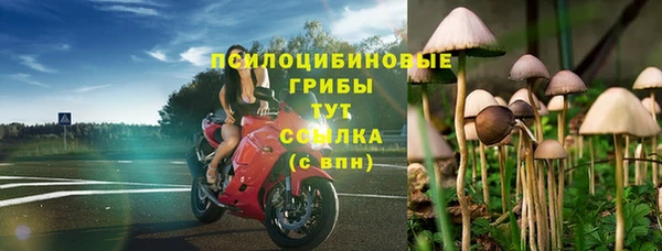 каннабис Гусь-Хрустальный