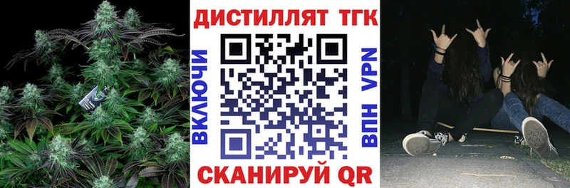 Купить где  Багратионовск  ТГК Wax 