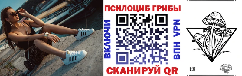Галлюциногенные грибы ЛСД  Купить где  Багратионовск 