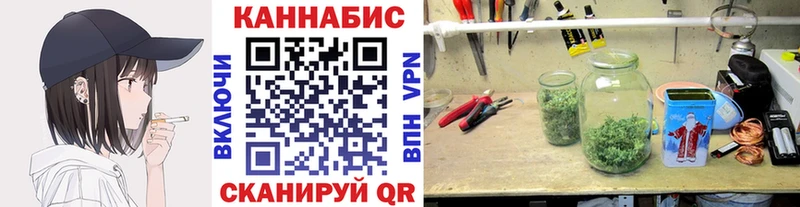 Бошки марихуана индика  Купить  Багратионовск 